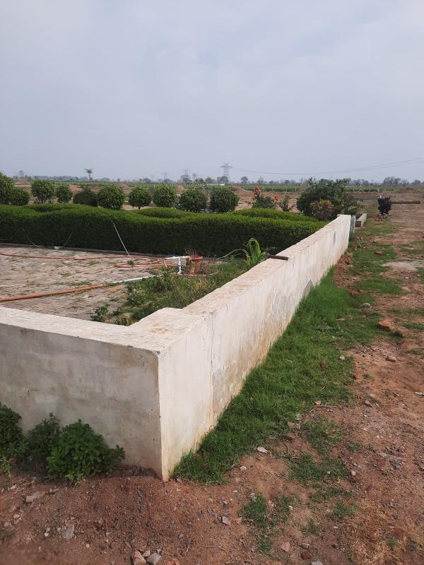  Residential Plot 200 Sq. Yards for Sale in Yamuna Expressway, Greater Noida