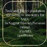  Agricultural Land for Sale in Tekadi, Nagpur
