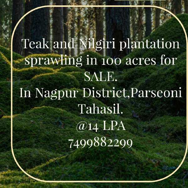 Agricultural Land 100 Acre for Sale in Tekadi, Nagpur
