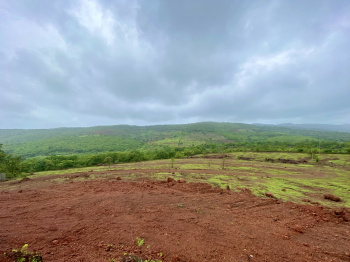  Residential Plot for Sale in Roha, Raigad
