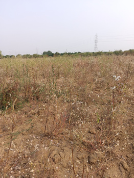  Agricultural Land for Sale in Kalameshwar, Nagpur