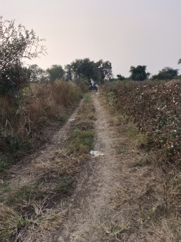  Agricultural Land for Sale in Kalameshwar, Nagpur