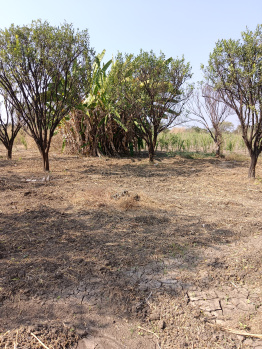  Agricultural Land for Sale in Katol, Nagpur