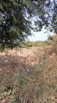  Agricultural Land for Sale in Katol, Nagpur