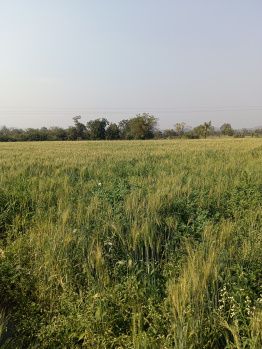  Agricultural Land for Sale in Wardha Road, Nagpur