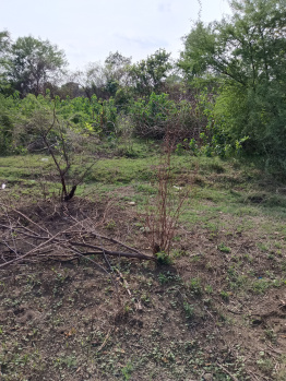  Agricultural Land for Sale in Kalameshwar, Nagpur