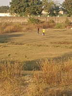  Agricultural Land for Sale in Davlameti, Nagpur