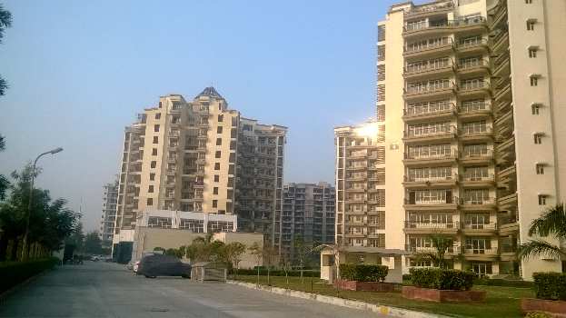 4 BHK Flats for Rent in TDI City, Sonipat