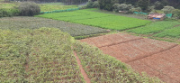  Agricultural Land for Sale in Kandal, Ooty