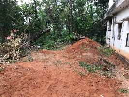  Agricultural Land for Sale in Ujire, Mangalore