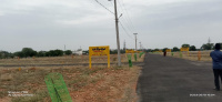 Residential Plot for Sale in Thiruvellarai, Tiruchirappalli