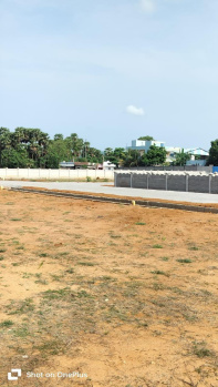  Residential Plot for Sale in Thotapalem, Vizianagaram