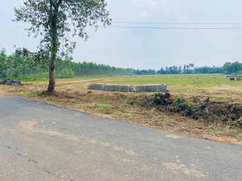  Residential Plot for Sale in Sontyam, Visakhapatnam