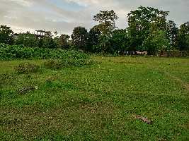  Commercial Land for Sale in Borjhar, Guwahati