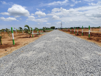  Residential Plot for Sale in Acharapakkam, Chengalpattu