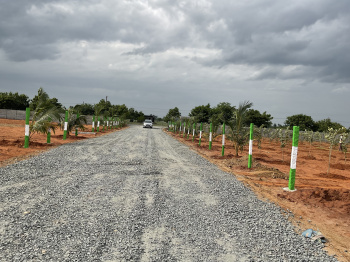  Agricultural Land for Sale in Cheyyar, Kanchipuram