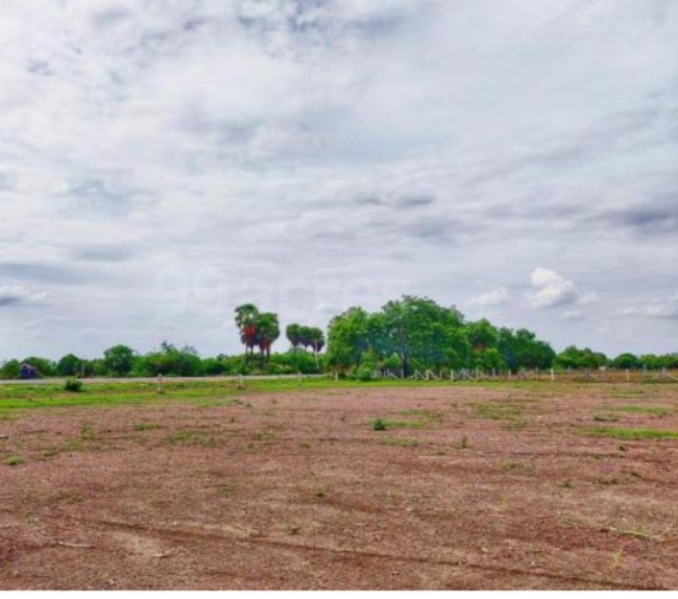 Agricultural Land 11 Bigha for Sale in Ajeetgarh, Sikar