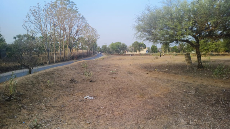  Agricultural Land 23 Bigha for Sale in Sri Madhopur, Sikar