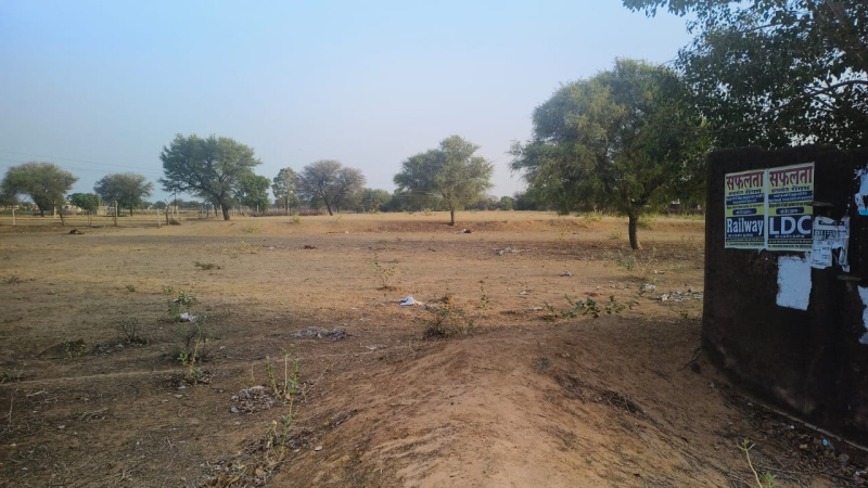  Agricultural Land 23 Bigha for Sale in Sri Madhopur, Sikar