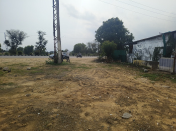  Agricultural Land for Sale in Sri Madhopur, Sikar