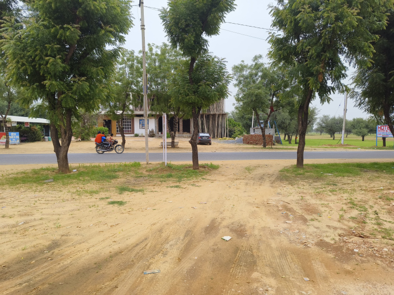  Commercial Land 1331 Sq. Yards for Sale in Khatu, Sikar