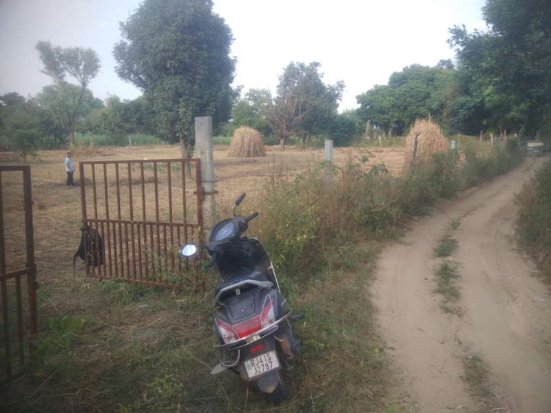  Agricultural Land 2 Bigha for Sale in Chomu, Jaipur