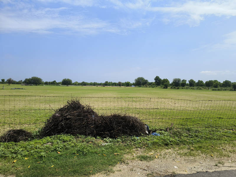  Agricultural Land 10 Bigha for Sale in Sri Madhopur, Sikar