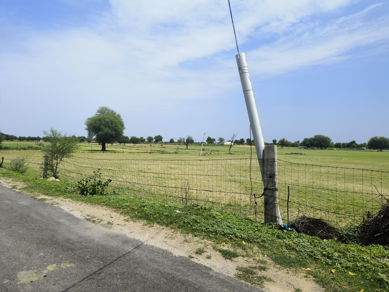  Agricultural Land 10 Bigha for Sale in Sri Madhopur, Sikar
