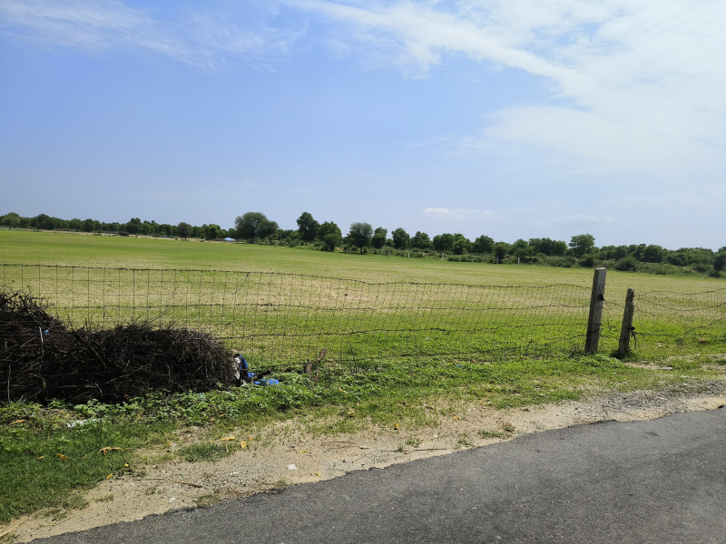  Agricultural Land 10 Bigha for Sale in Sri Madhopur, Sikar