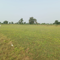  Agricultural Land for Sale in Parikrama Marg, Vrindavan