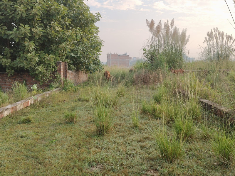 3 Acre Industrial Land for Sale in Barwala, Hisar