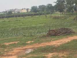  Agricultural Land for Rent in Chikkaballapur, Bangalore