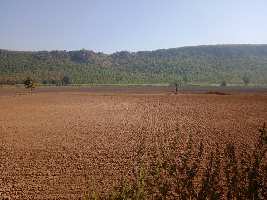  Agricultural Land for Sale in Shahpura, Jabalpur