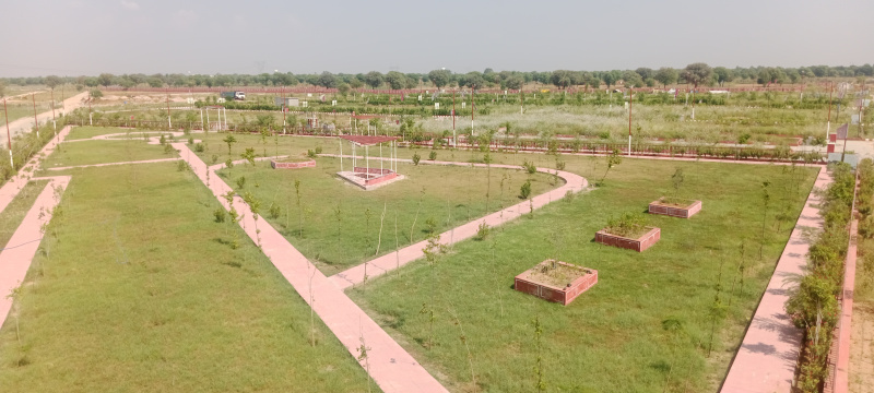  Residential Plot 235 Sq. Yards for Sale in Jagatpura, Jaipur