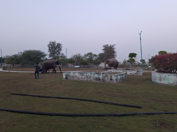  Residential Plot for Sale in Goner Road, Jaipur