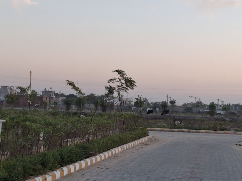  250 Sq. Yards Residential Plot for Sale in Mahal Road, Jagatpura, Jaipur