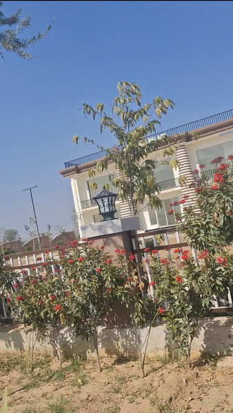  150 Sq. Yards Residential Plot for Sale in Jagatpura, Jaipur