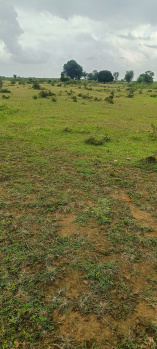  Agricultural Land for Sale in Mauganj, Rewa