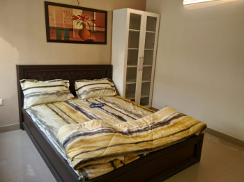 2 BHK Flat for Sale in Sector 75 Faridabad