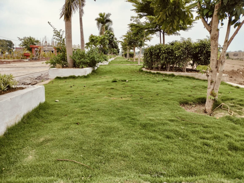  Residential Plot 1000 Sq.ft. for Sale in Vidhan Sabha Road, Raipur