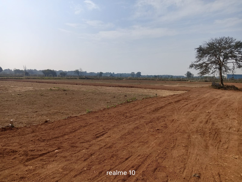  Residential Plot 2000 Sq.ft. for Sale in Jamul, Durg