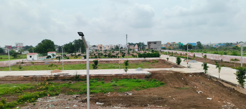  Residential Plot 1500 Sq.ft. for Sale in Sejbahar, Raipur