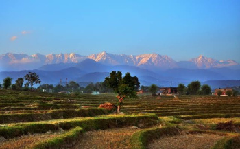  Agricultural Land for Sale in Shahpur, Kangra