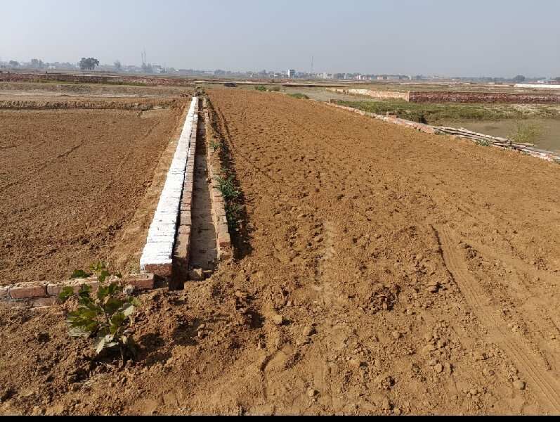  Residential Plot 110 Sq. Yards for Sale in Jewar, Gautam Buddha Nagar