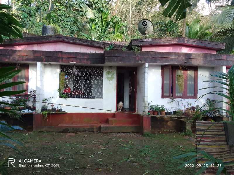 2 BHK House 900 Sq.ft. for Sale in Alakode, Kannur