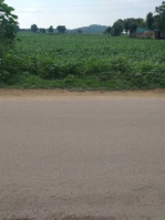  Residential Plot for Sale in Ramgarh, Alwar