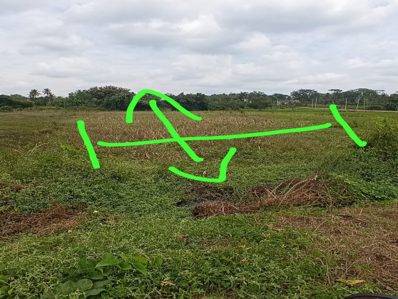  Agricultural Land 20 Guntha for Sale in Kanakapura, Bangalore