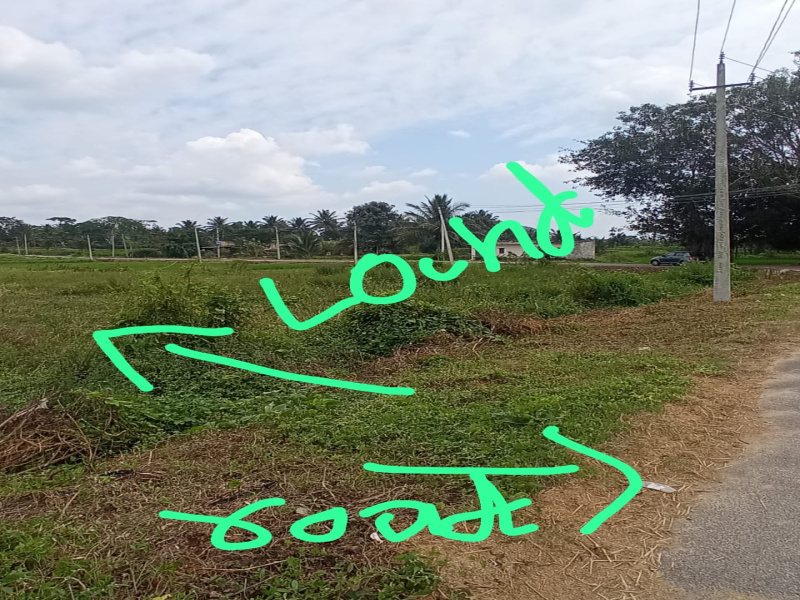  Agricultural Land 20 Guntha for Sale in Kanakapura, Bangalore