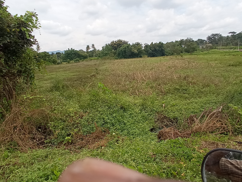  Agricultural Land 20 Guntha for Sale in Kanakapura, Bangalore