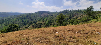  Agricultural Land for Sale in Kodaikanal, Dindigul